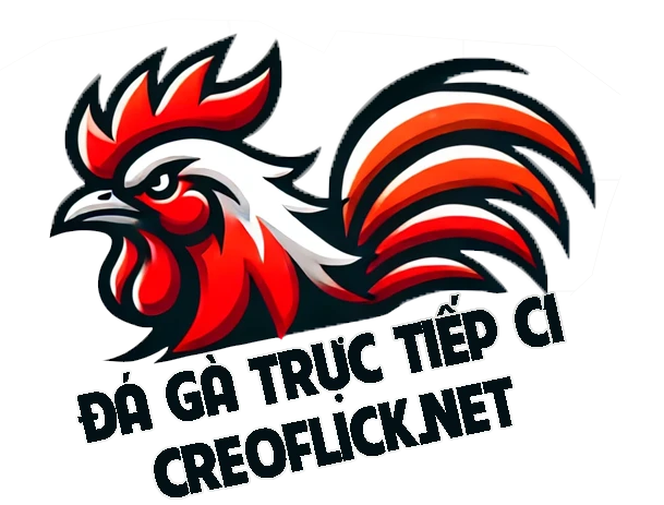 ĐÁ GÀ TRỰC TIẾP THOMO HÔM NAY 🎖️ 4K TẠI CAMPUCHIA