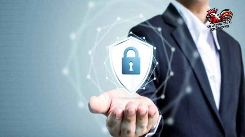 Chính sách bảo mật của website đá gà trực tiếp C1 mới nhất 4 Chính sách bảo mật và ảnh hưởng của nó trên website trực tuyến