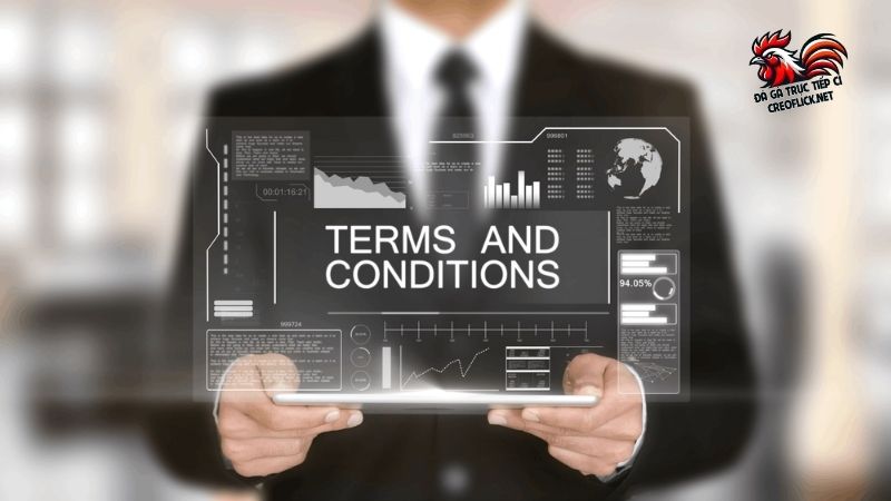 Điều kiện điều khoản hoạt động website Đá Gà Trực Tiếp C1 5 Nội dung chính trong điều kiện điều khoản mọi người nên nắm rõ