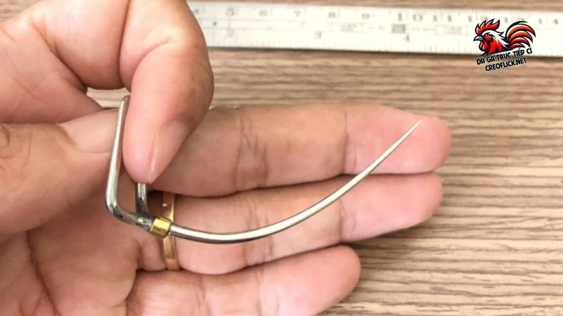 Cựa gà siêu thông là gì? Cách chọn cựa gà chuẩn của sư kê 5 Phương pháp chọn cựa gà siêu thông cho từng loại gà